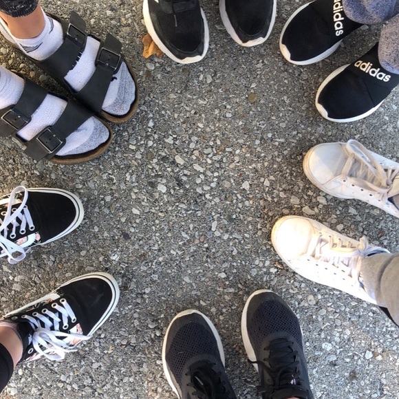 Meet your Posher, Raelynn - Picture 1 of 1